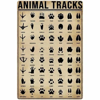 Živali Odtis Znanja Kovinski Tin Prijavite Lov Grafikon Plakat Kmetiji Prostem Šoli Klub Dekoracijo Sten Plaketo Plakati